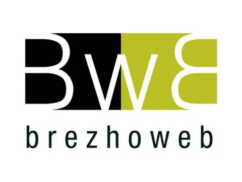 LogoBrezhoweb pluguffan.jpg